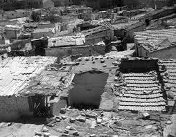 Carne de Cañón con Alas