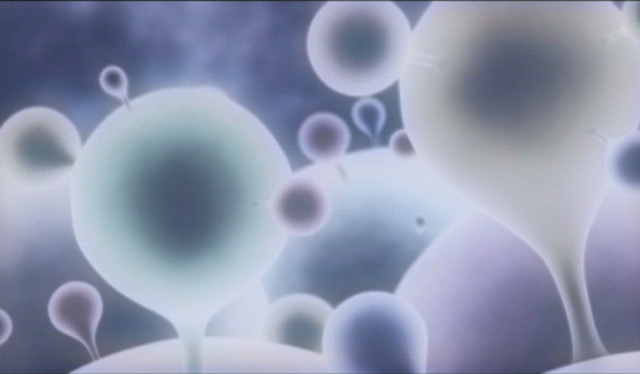 LA OBRA DE HAWKING CONFIRMA EL ENIGMA METAFÍSICO DEL UNIVERSO LA OBRA DE HAWKING CONFIRMA EL ENIGMA METAFÍSICO DEL UNIVERSO