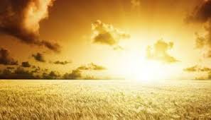 “El reino de Dios está dentro de vosotros ¿O “estará”? “Compartir” (273) de 28 de octubre de 2018. Preguntas y respuestas.