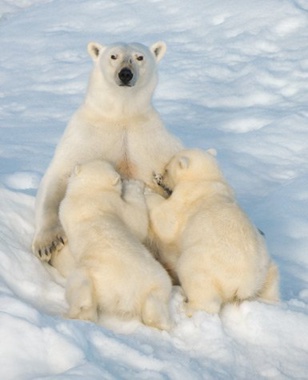 003. Religiones agrícolas (2) 003. Religiones agrícolas (2)