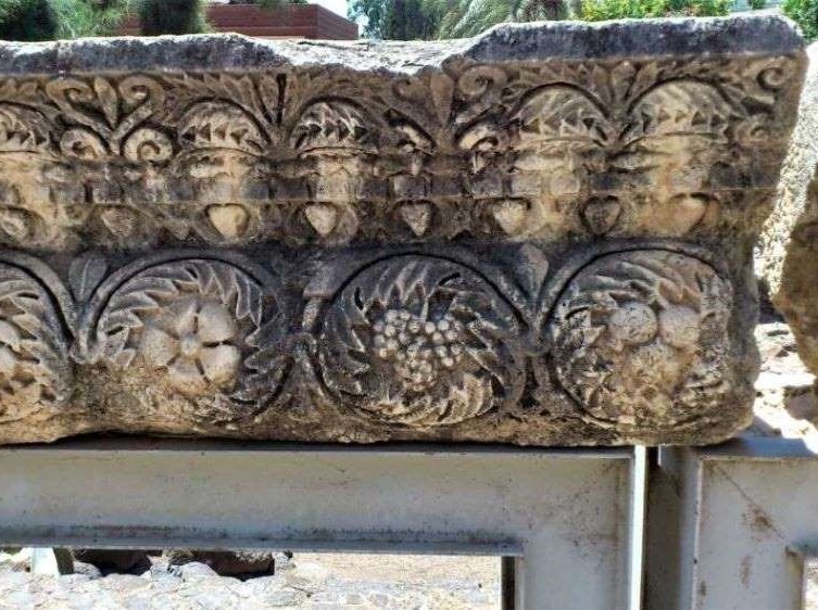 054. Las plantas: la siembra en la literatura bíblica. 054. Las plantas: la siembra en la literatura bíblica.