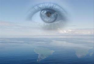 Vías de hecho puertas cerradas al derecho (2): "La paz mental universal como base para el desarollo libre del ser humano". Vías de hecho puertas cerradas al derecho (2): "La paz mental universal como base para el desarollo libre del ser humano".