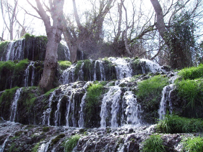 Vías de hecho puertas cerradas al derecho (2): "La paz mental universal como base para el desarollo libre del ser humano". Vías de hecho puertas cerradas al derecho (2): "La paz mental universal como base para el desarollo libre del ser humano".