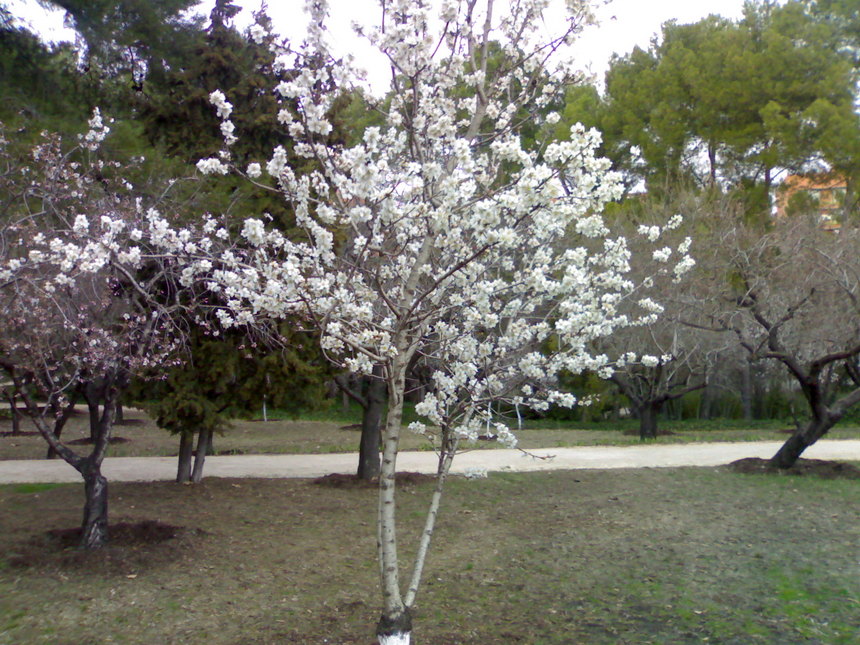 Lo que más se necesita aprender es un espíritu humilde. Confucio Lo que más se necesita aprender es un espíritu humilde. Confucio
