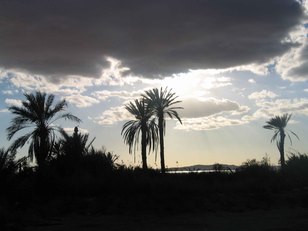 Atardecer en el Oasis de Siwa. Foto IEAE