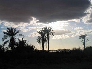 Atardecer en el Oasis de Siwa. Foto IEAE Atardecer en el Oasis de Siwa. Foto IEAE