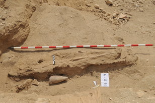 Imagen propiedad IEAE. Proyecto Visir Amen-Hotep, Huy. TA-28- Asasif Imagen propiedad IEAE. Proyecto Visir Amen-Hotep, Huy. TA-28- Asasif