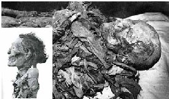 momias del hombre anónimo 'C' y de la reina Hatshepsut