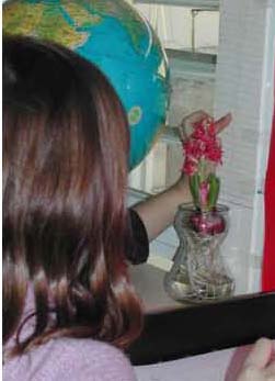 El aula como un sistema social que es complejo y adaptativo.                                     II Entrega.