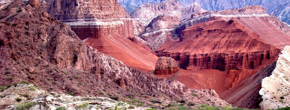 Comunicación y nuevos paradigmas en Salta Comunicación y nuevos paradigmas en Salta
