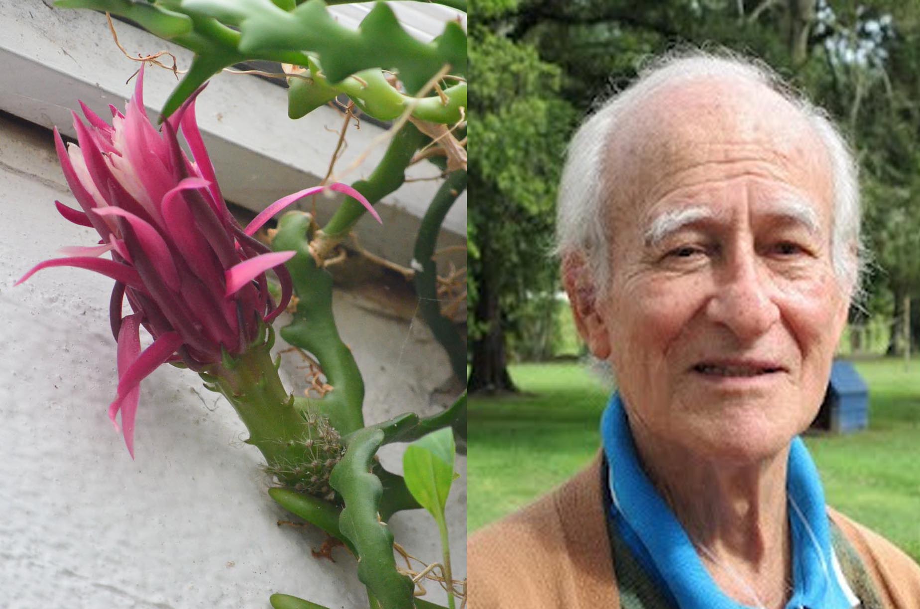 La flor de Juan (segunda parte)