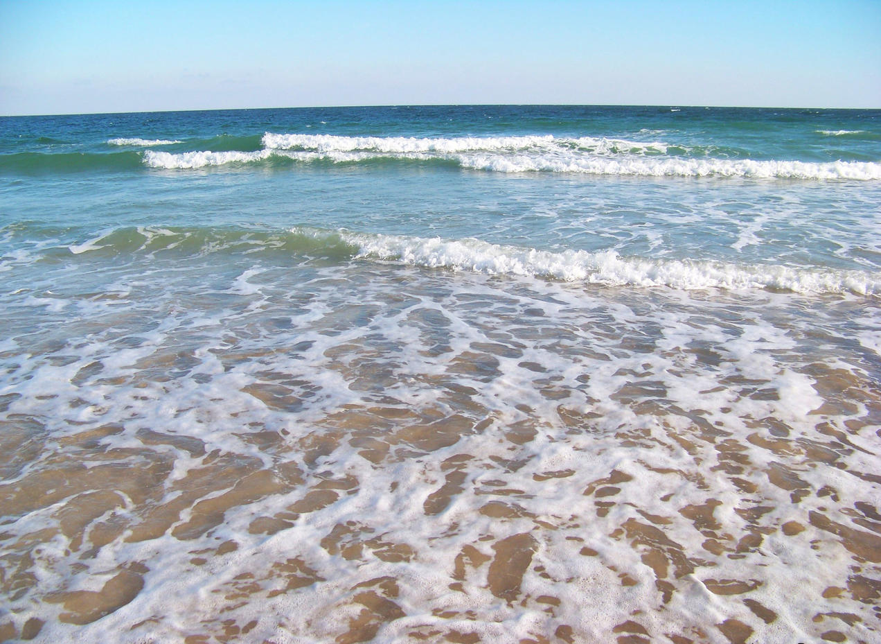Con un océano de por medio Con un océano de por medio