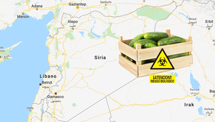 Los pueblos tienen muy poca memoria Los pueblos tienen muy poca memoria