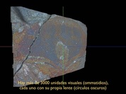 EyeMovieSpanish.m4v.mp4