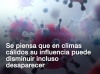 El clima no acabará con el coronavirus 