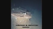 imagenes_submarinas_ROV_Montanas_del_Sahara