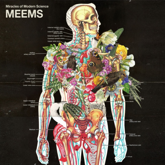 Responsible Research & Innovation: ¿un nuevo contrato entre ciencia, tecnología, innovación y sociedad?