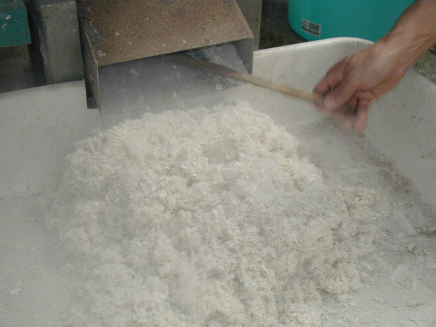 Papel de lirio: un ejemplo de innovación para la sostenibilidad (o sustentabilidad) Papel de lirio: un ejemplo de innovación para la sostenibilidad (o sustentabilidad)