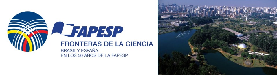 Vista de la ciudad de São Paulo en buena compañía (el logo de FAPESP)