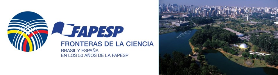 Vista de la ciudad de São Paulo en buena compañía (el logo de FAPESP) Vista de la ciudad de São Paulo en buena compañía (el logo de FAPESP)