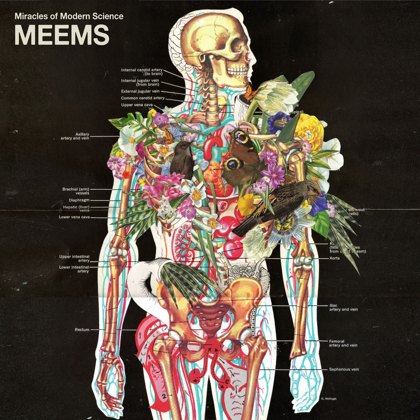 Miracles of Modern Science Miracles of Modern Science