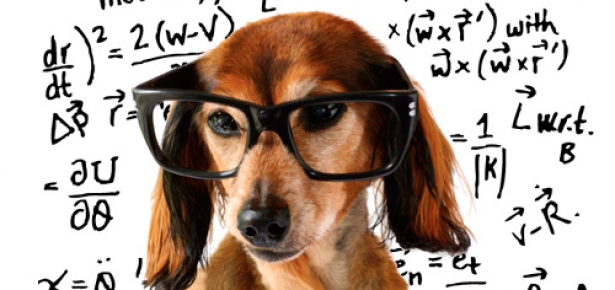 Desarrollando diferentes formas de pensar: ¿para qué sirven los mapas mentales y conceptuales? Desarrollando diferentes formas de pensar: ¿para qué sirven los mapas mentales y conceptuales?