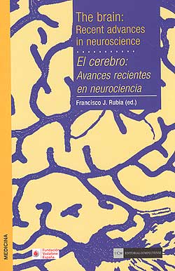 El cerebro: avances recientes en neurociencia