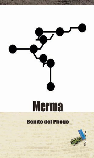 Ver, una capacidad sesgada Ver, una capacidad sesgada