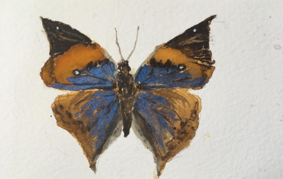 Imagen: Társila JIménez. Imagen: Társila JIménez.