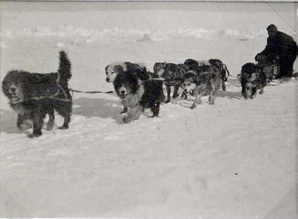 Este fue uno de los pocos momentos en que consiguieron que avanzasen Este fue uno de los pocos momentos en que consiguieron que avanzasen