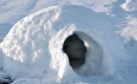 Con unos trozos de hielo y buena voluntad enseguida construimos iglúes para los perros