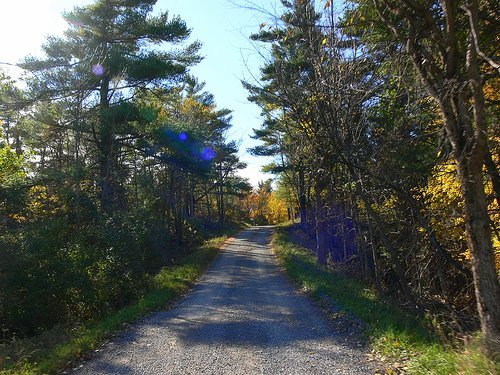 EL TRATAMIENTO ADECUADO DE LOS NIVELES