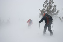 Los esquíes han inspirado la propuesta
