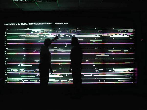 Un proyecto enlaza Informática Biomédica, tecnologías Grid y Nanoinformática