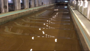 Solitones en el tanque de agua de Berlín. Fuente: Universidad de Buffalo. Solitones en el tanque de agua de Berlín. Fuente: Universidad de Buffalo.