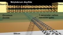 Esquema del transistor con puerta de 1 nanómetro. Imagen: S. Javey. Fuente: UC Berkeley.
