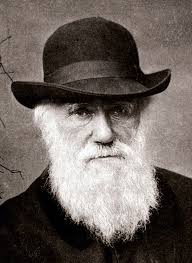 Charles Darwin en 1880, de Elliott & Fry. Imagen: Flickr