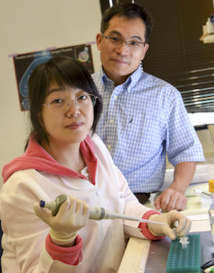 Lei-Lei Wang (izda.) y Chun-Li Zhang. Fuente: UT Southwestern. Lei-Lei Wang (izda.) y Chun-Li Zhang. Fuente: UT Southwestern.