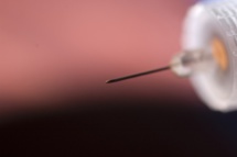 Imagen: Aki Hänninen. Fuente: SINC. Imagen: Aki Hänninen. Fuente: SINC.