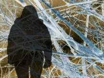 Imagen: Geralt Imagen: Geralt