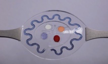 El dispositivo. Fuente: Universidad de Northwestern. El dispositivo. Fuente: Universidad de Northwestern.