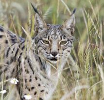 Fuente: CGR. Fuente: CGR.