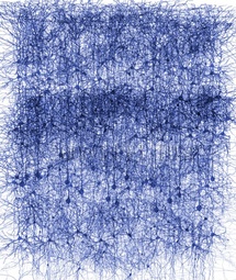 Bosque de neuronas. Blue Brain Project.
