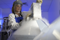 Investigación en el INSERM en inmunoterapia. Foto: ©Inserm/Latron Investigación en el INSERM en inmunoterapia. Foto: ©Inserm/Latron