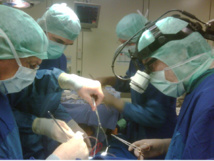 Foto: Universidad de Marburg Foto: Universidad de Marburg