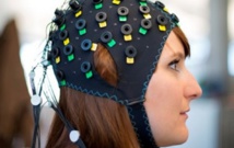 La interfaz computacional. Fuente: Wyss Center, www.wysscenter.ch. La interfaz computacional. Fuente: Wyss Center, www.wysscenter.ch.