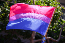 Bandera bisexual. Foto: Peter Salanki. Bandera bisexual. Foto: Peter Salanki.