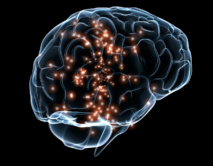 Ilustracion de la actividad neuronal en un cerebro humano. Fuente: Massachusetts General Hospital and Draper Labs