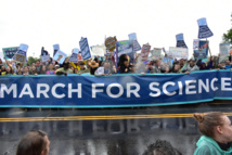 Manifestación en Washington. FotoAmaury Laporte Manifestación en Washington. FotoAmaury Laporte