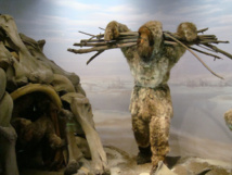 Homo Sapiens en el Museo de Historia Natural de Nueva York. Foto: Neil R